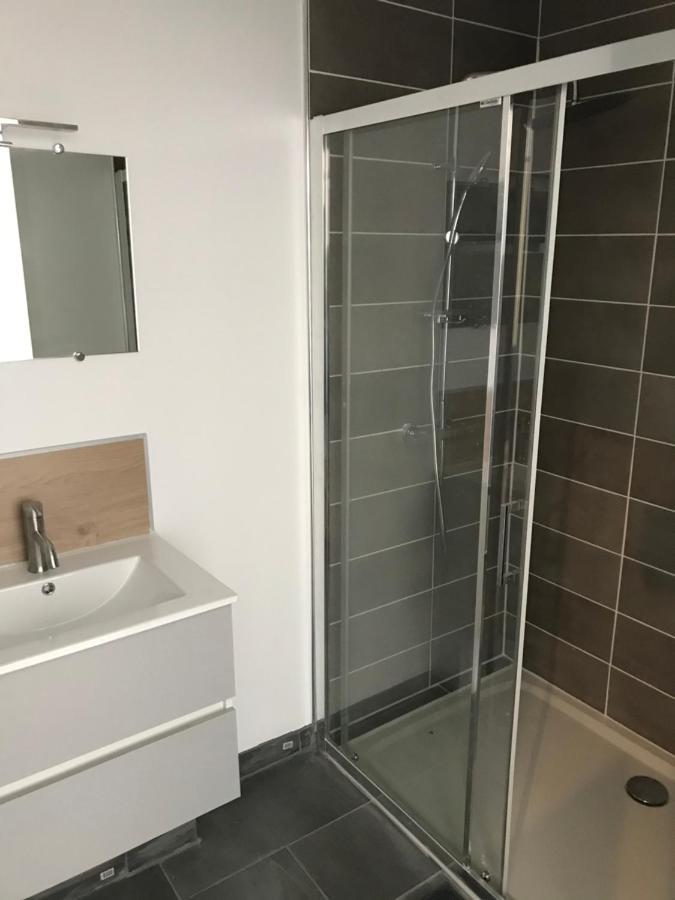 Ferienwohnung T2 Design Hypercentre Castres Agout Exterior foto